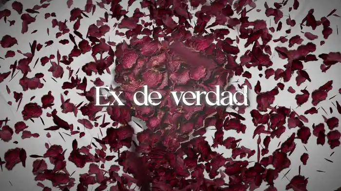 Ex De Verdad (LETRA)