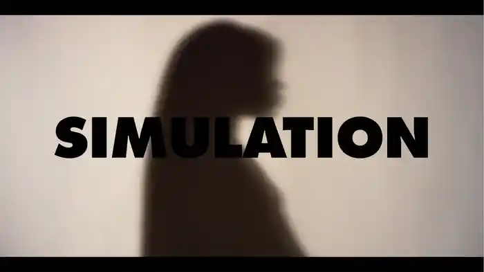 Simulation