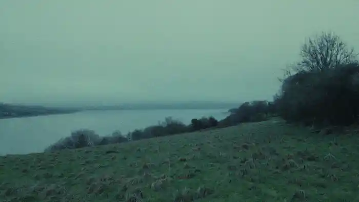 The Weight of the Woods (Lyric Video)