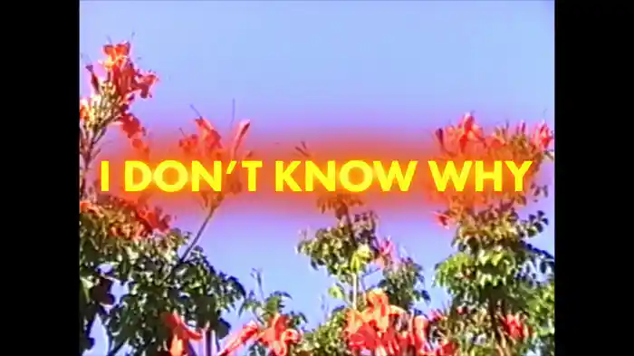 I Don't Know Why