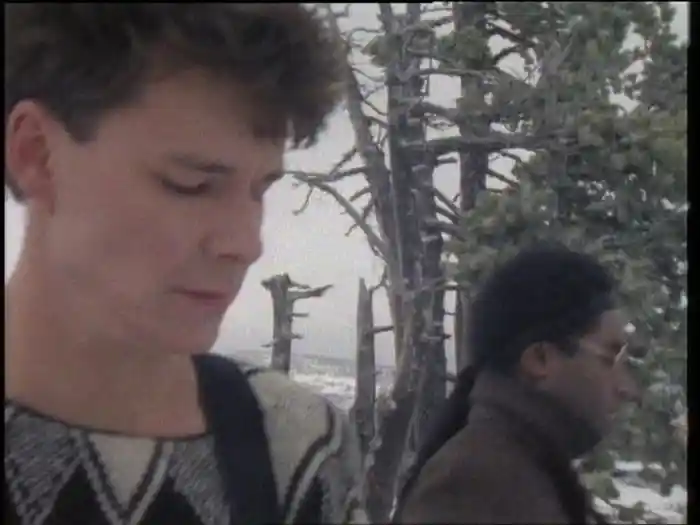 Wonderland (Video)