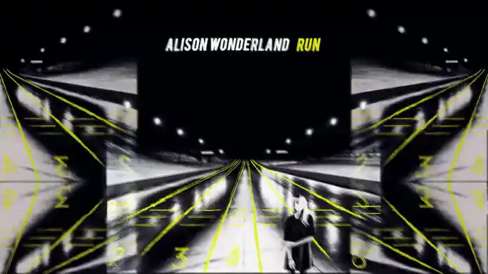 Run (AL-P of MSTRKRFT Remix / Audio)