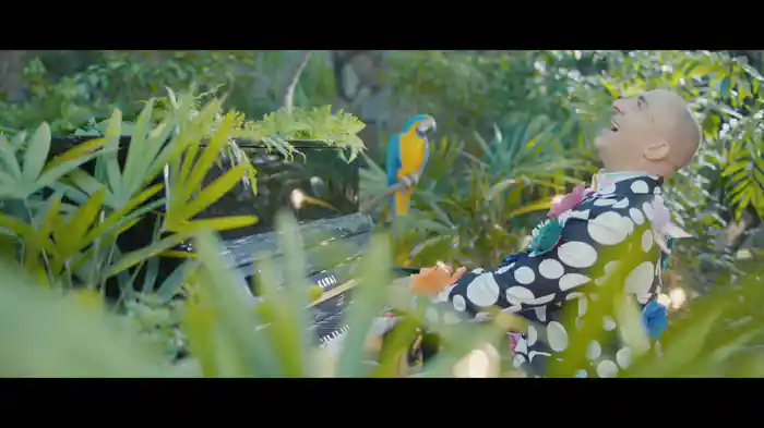 Kortbroek, Langkouse