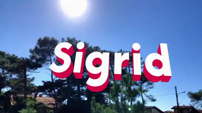 Sucker Punch (Lyric Video)