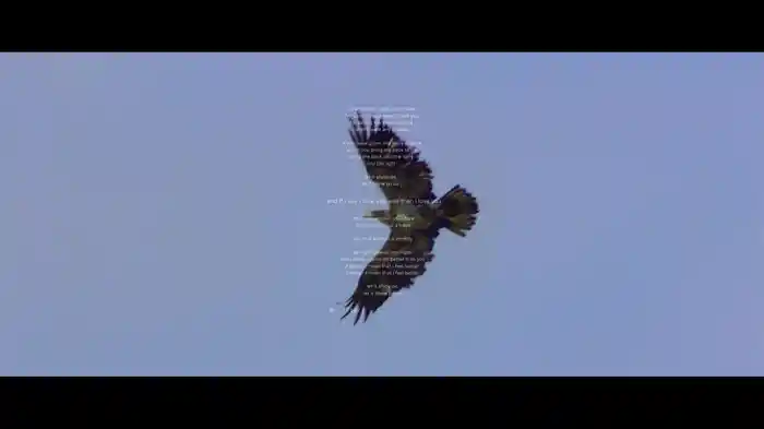 Mumford & Sons And National Geograpic Present: If I Say (Lyric Video)