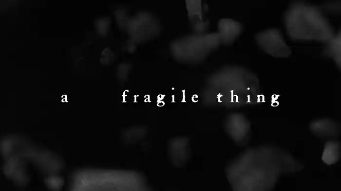 A Fragile Thing (Lyric Video)