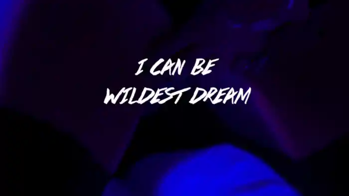 Wildest Dreams (Lyric Video)