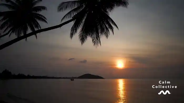 Tropical Beach (Visualiser)