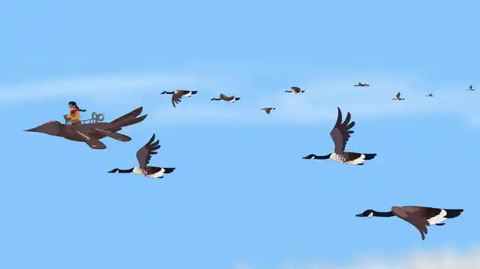 SOARING!
