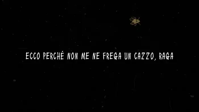 Non Me Ne Frega Un Cazzo (Lyric Video)