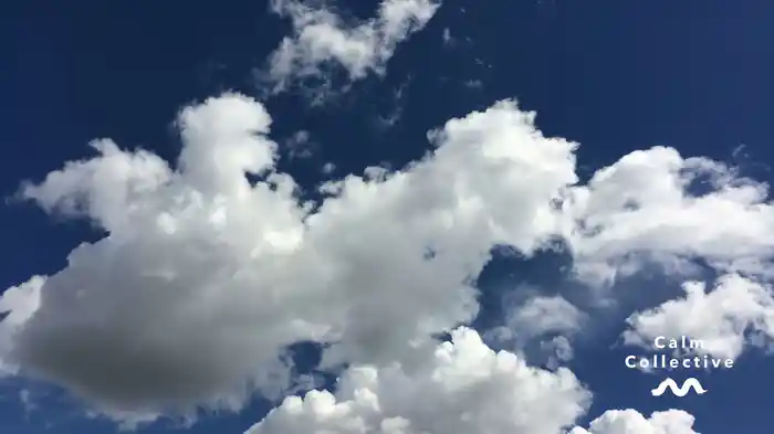 Calming Commute (Visualiser)