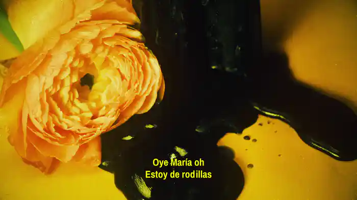 María (Lyric Video)