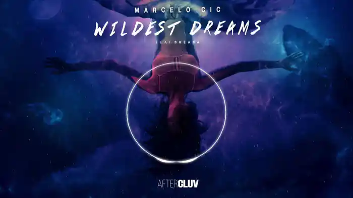 Wildest Dreams