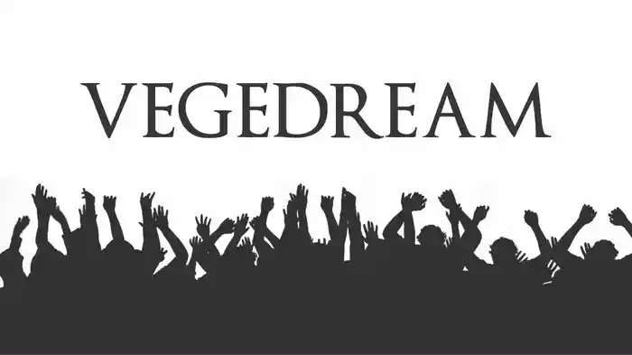 La fuite (Vegedream X Dj Leska)