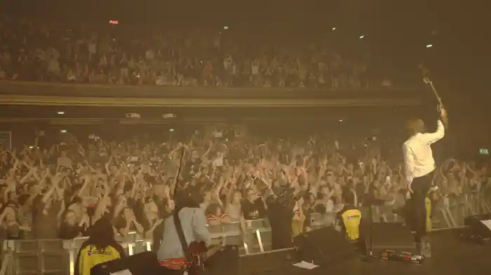 Junk Food Forever (Live At The Forum, London)