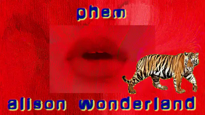 W.W.C.B.D. (vixualixer)