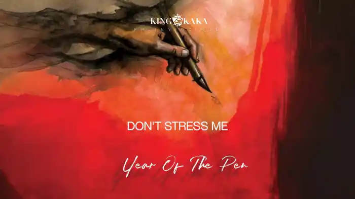 Don't Stress Me (Audio)