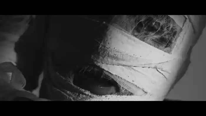 love you with the lights on (official video)