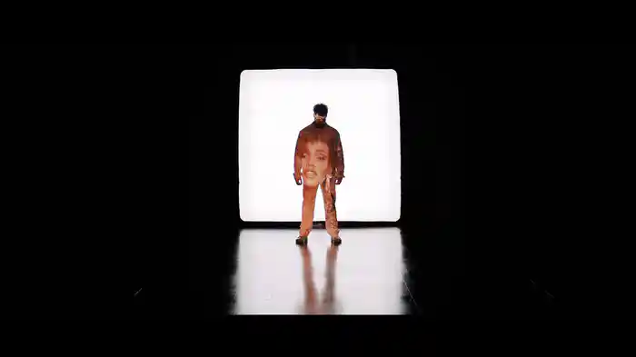 I Wanna Dance With Somebody (Who Loves Me)