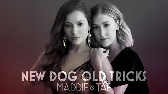 New Dog Old Tricks (Audio)