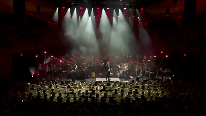 Bulls (Live at Sydney Opera House)