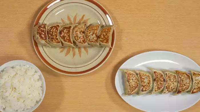 島根県出雲市の餃子とライス
