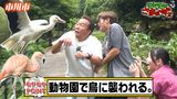 #3 【千葉県・市川市】