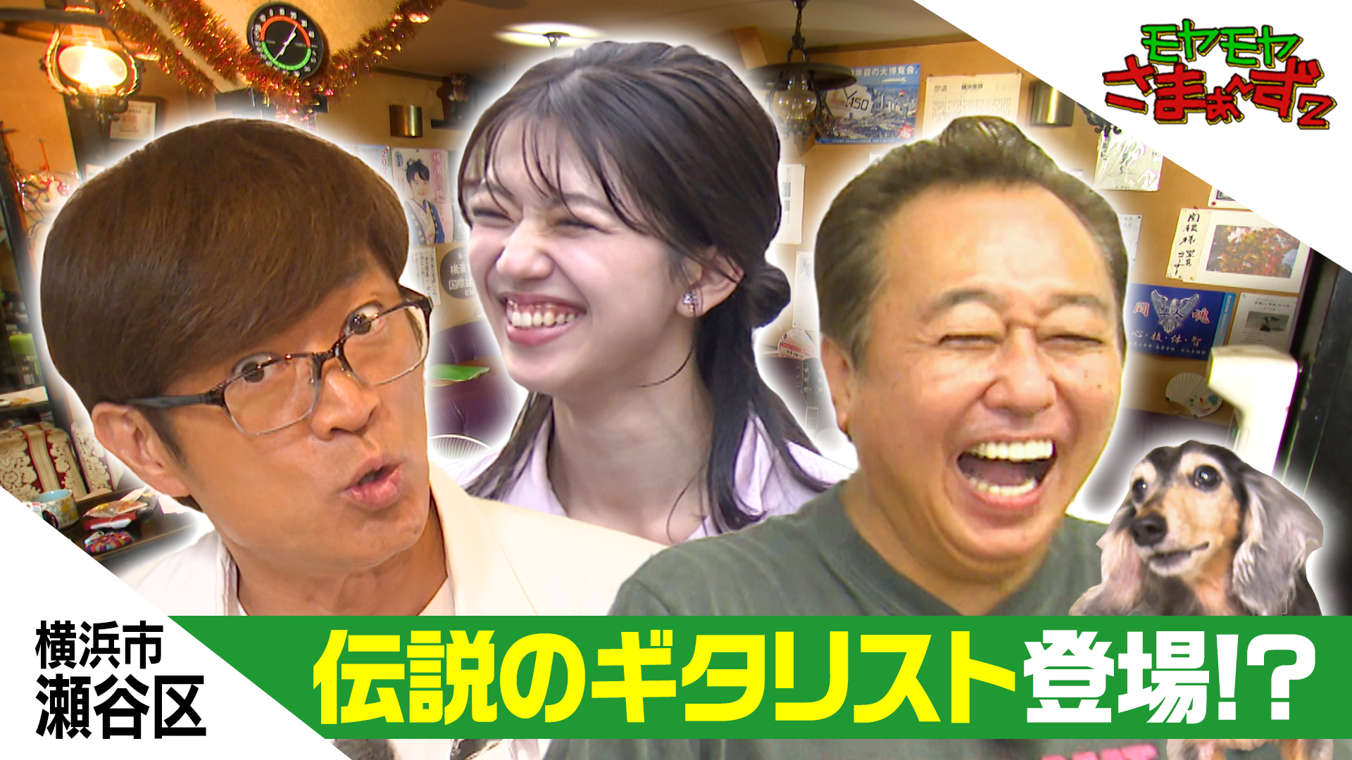 横浜の西の果て！瀬谷区でワンワン散歩