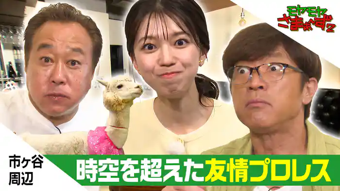 市ヶ谷周辺で謎アルパカ&謎プロレス&謎ボートで遊ぶ!