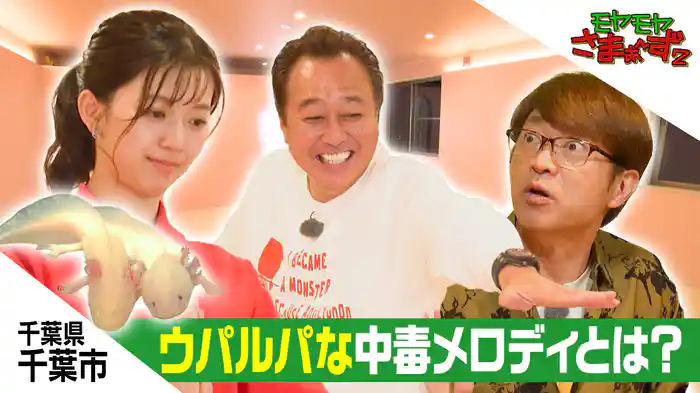 千葉市！大竹の家庭しあわせ話 謎のチャーハン専門店