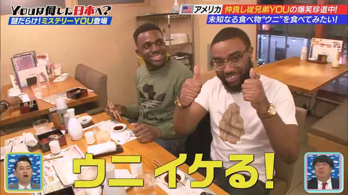 あなたは絶対2度見たくなる ミステリーYOUふしぎ発見!?SP