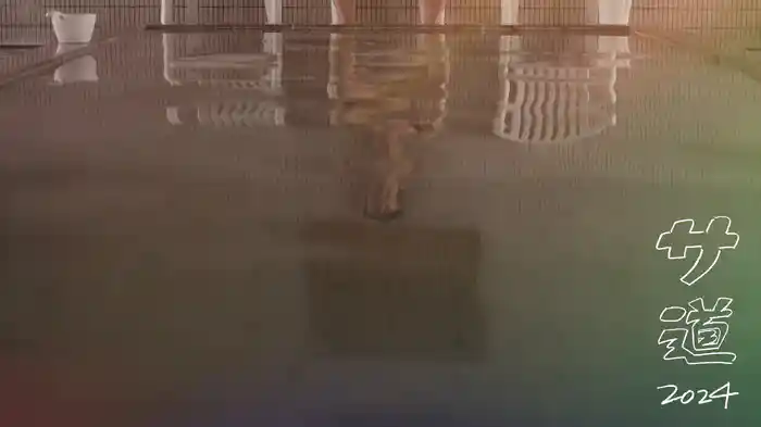 サ道 2024SP ～誰しも 何かを胸にととのう～