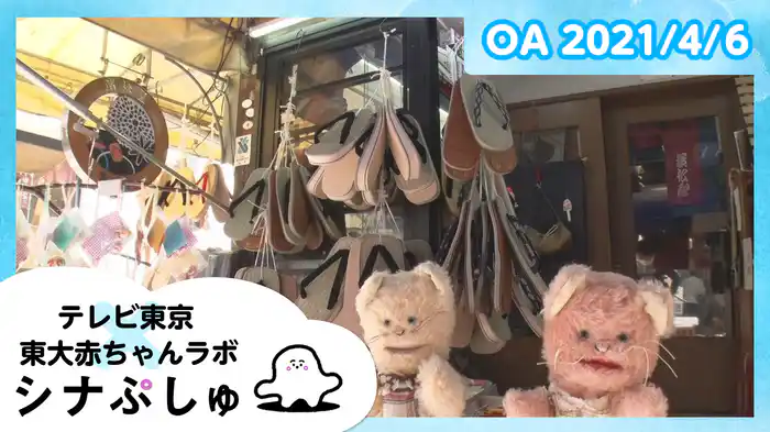 2021/4/6放送分
