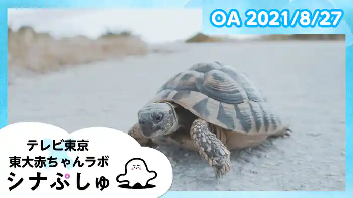 2021/8/27放送分