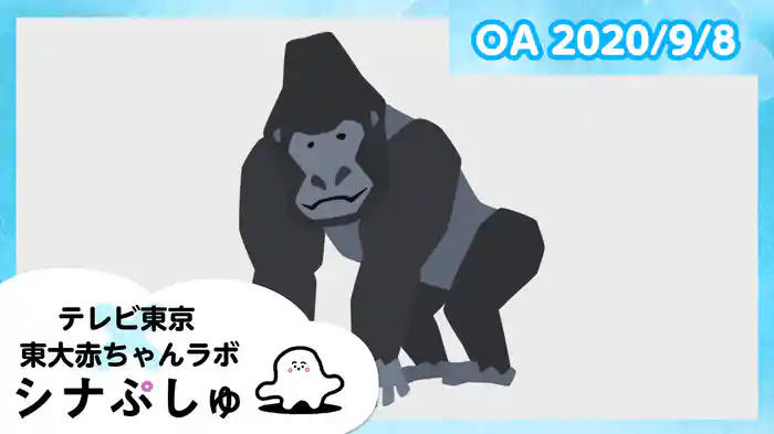 2020/9/8放送分