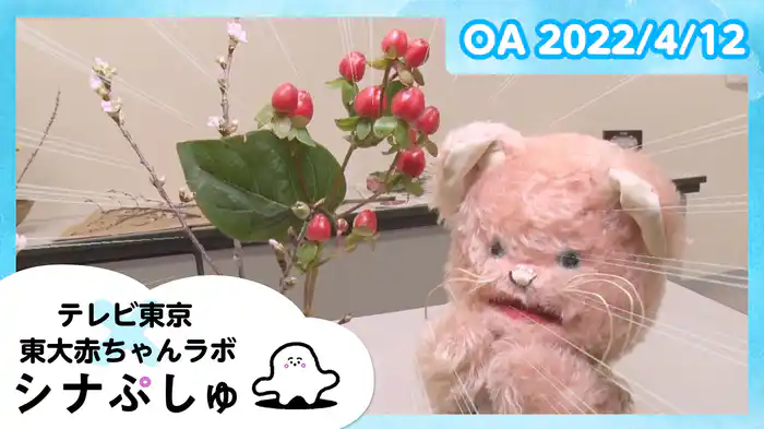 2022/4/12放送分
