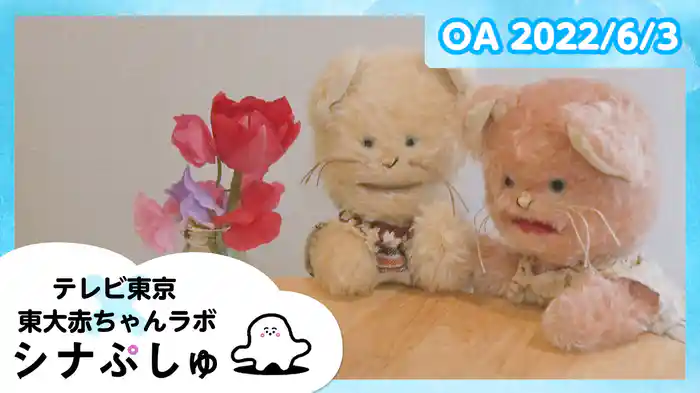 2022/6/3放送分