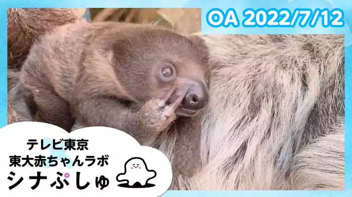 2022/7/12放送分