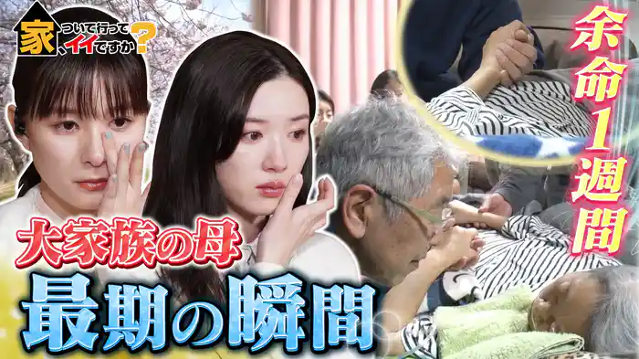 ワケあってイギリス＆ベトナムへ！春の2時間半SP