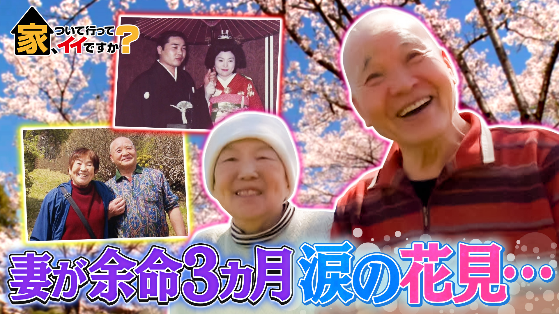 桜の木の下で「来世も一緒に…」闘病妻と夫の涙の物語