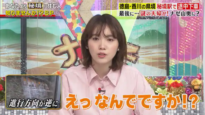 超危険な“険道”の先へ…路線バス終点の先で秘境人探しSP