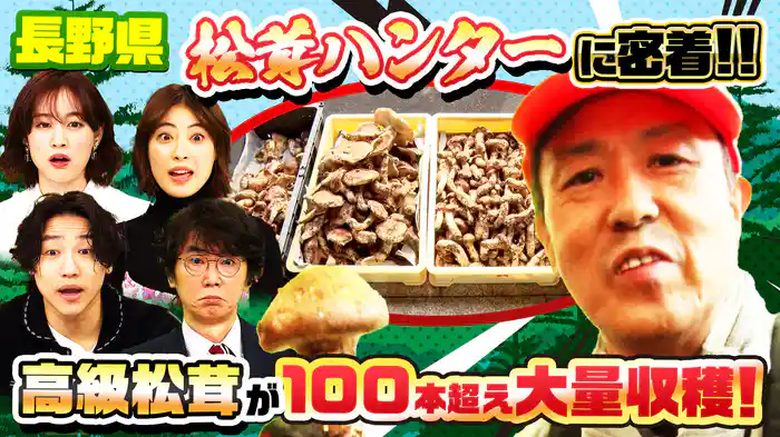 松茸ハンター神ワザ100本ゲット&復活!世界ナゼそこに?日本人SP