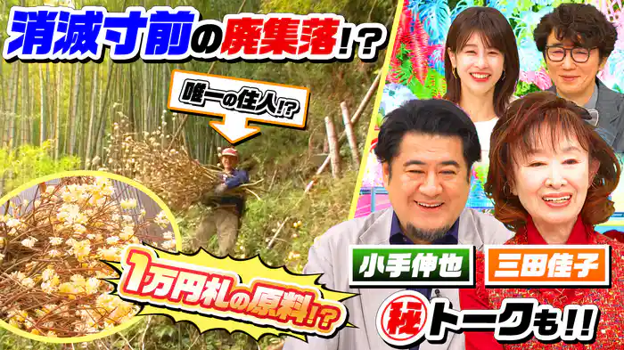 高知・愛媛の県境…消滅寸前の廃集落たった一人暮らす(秘)未確認日本人