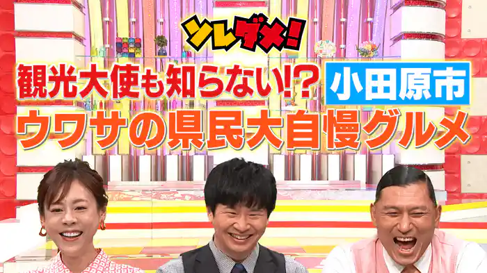 観光大使も知らない!?小田原＆新潟県民が溺愛！謎のイタリアン
