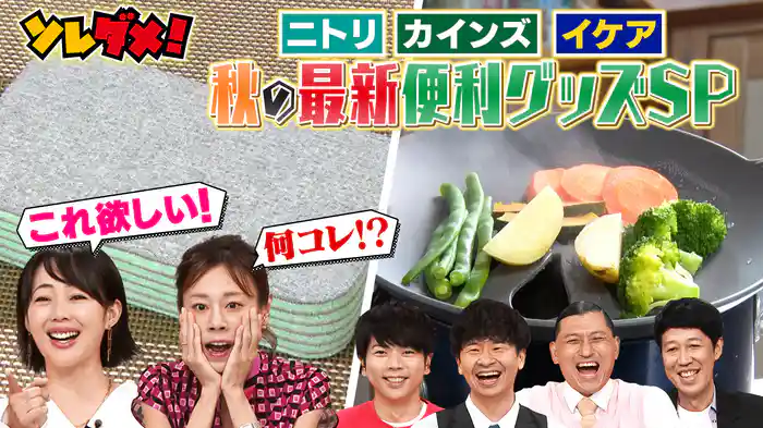 ニトリ＆カインズ＆イケアで家事を時短！最新＆お得な27品