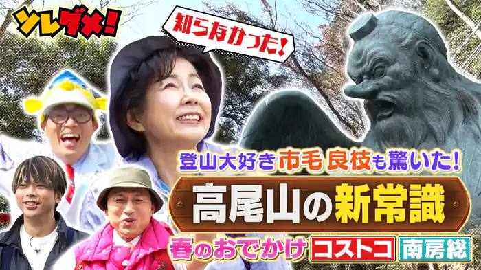 高尾山&コストコ&南房総!今行くと超お得!春のおでかけ新常識SP