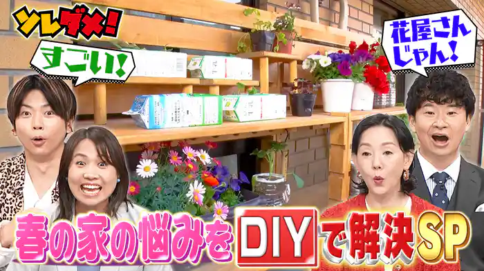 収納不足&賃貸で原状回復!家のお悩みをお手軽DIYで解決SP