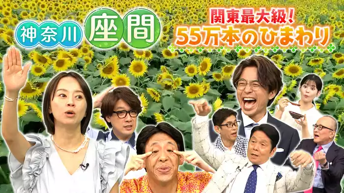 【神奈川・座間】湧水の街＆ひまわり広がる井上尚弥の故郷