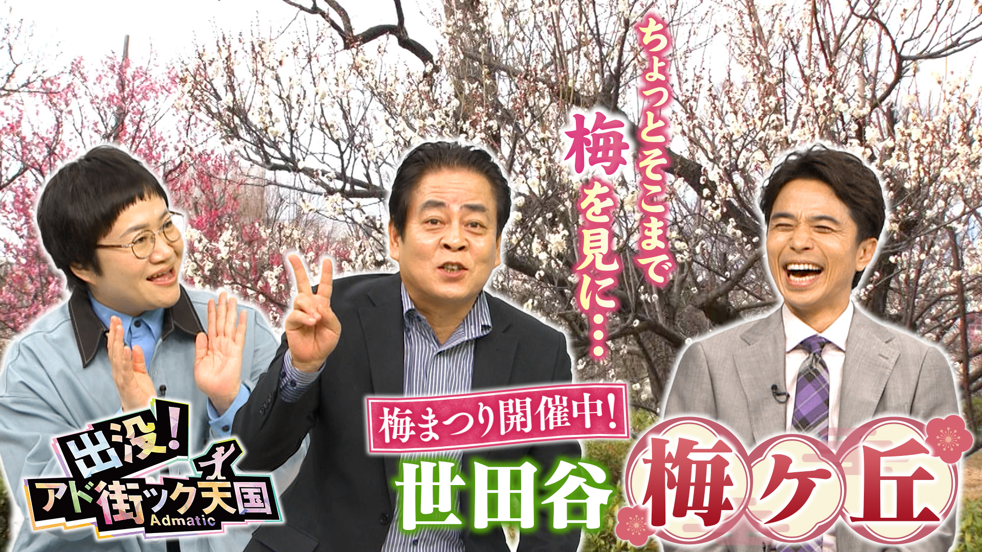 【梅ヶ丘】小田急沿線！世田谷に都内屈指☆今見頃“梅”の名所