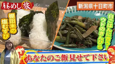 絶景！棚田の里…里山の美味！サバ缶で山菜タケノコ味噌汁